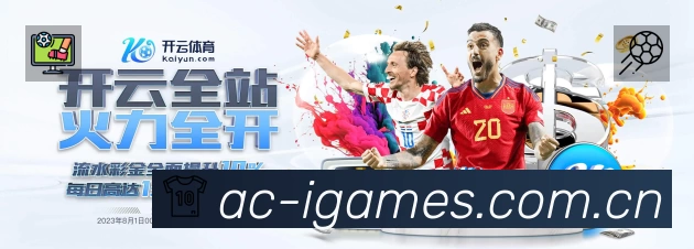 关于 爱游戏